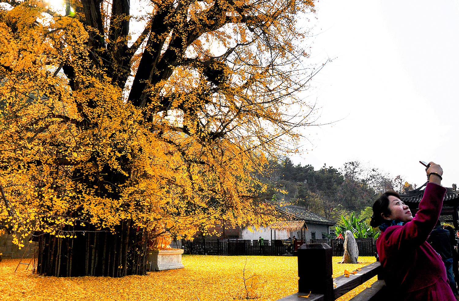 DSC_0282a.jpg