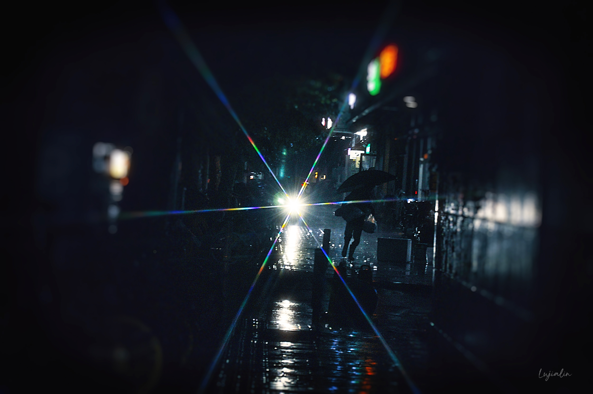 DSC_0319.jpg