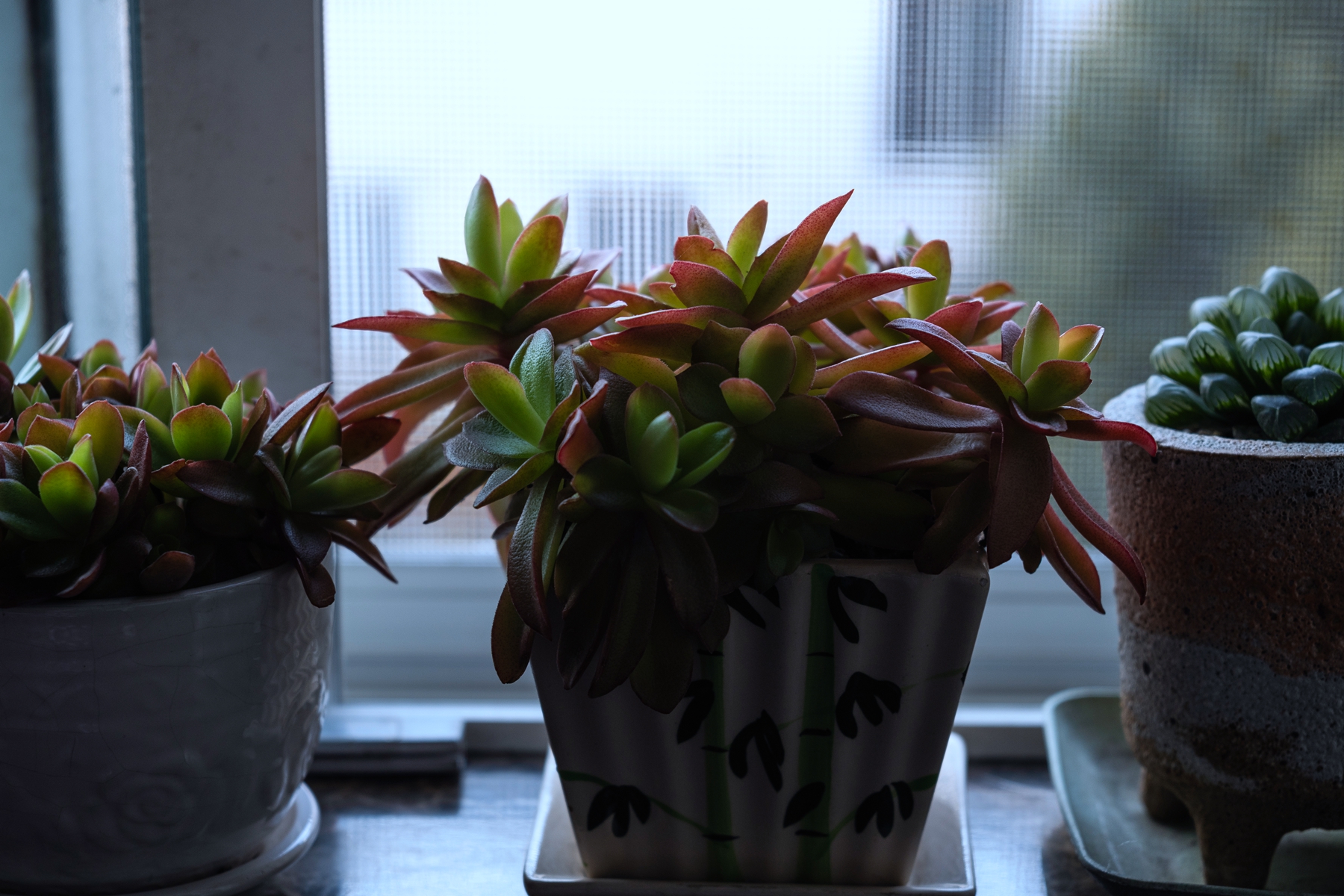 7H1A9293.jpg