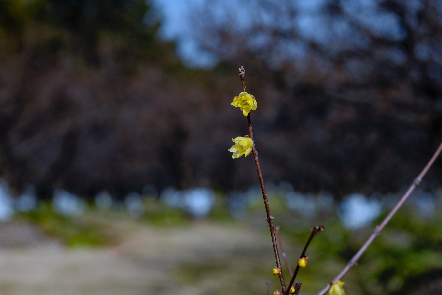 7H1A9317.jpg