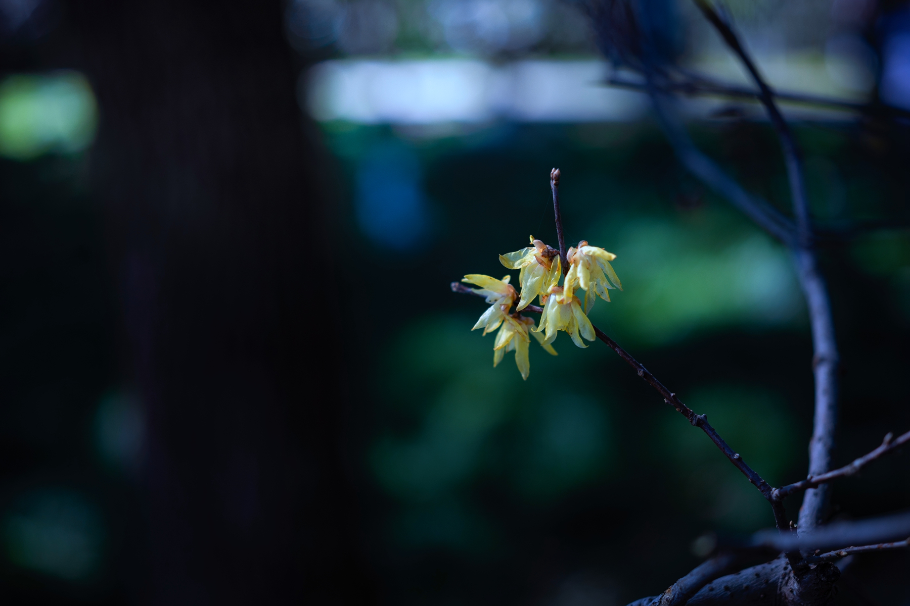 7H1A9311.jpg
