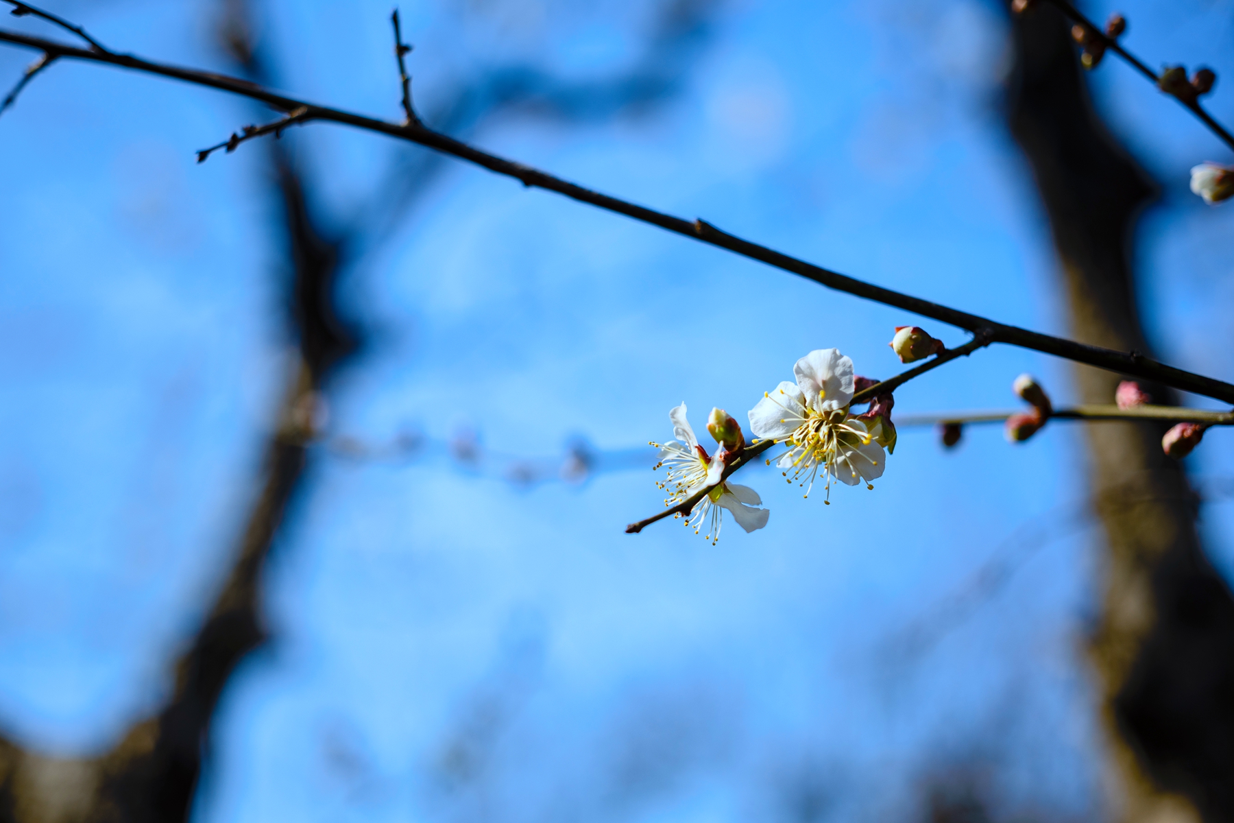 7H1A9339.jpg