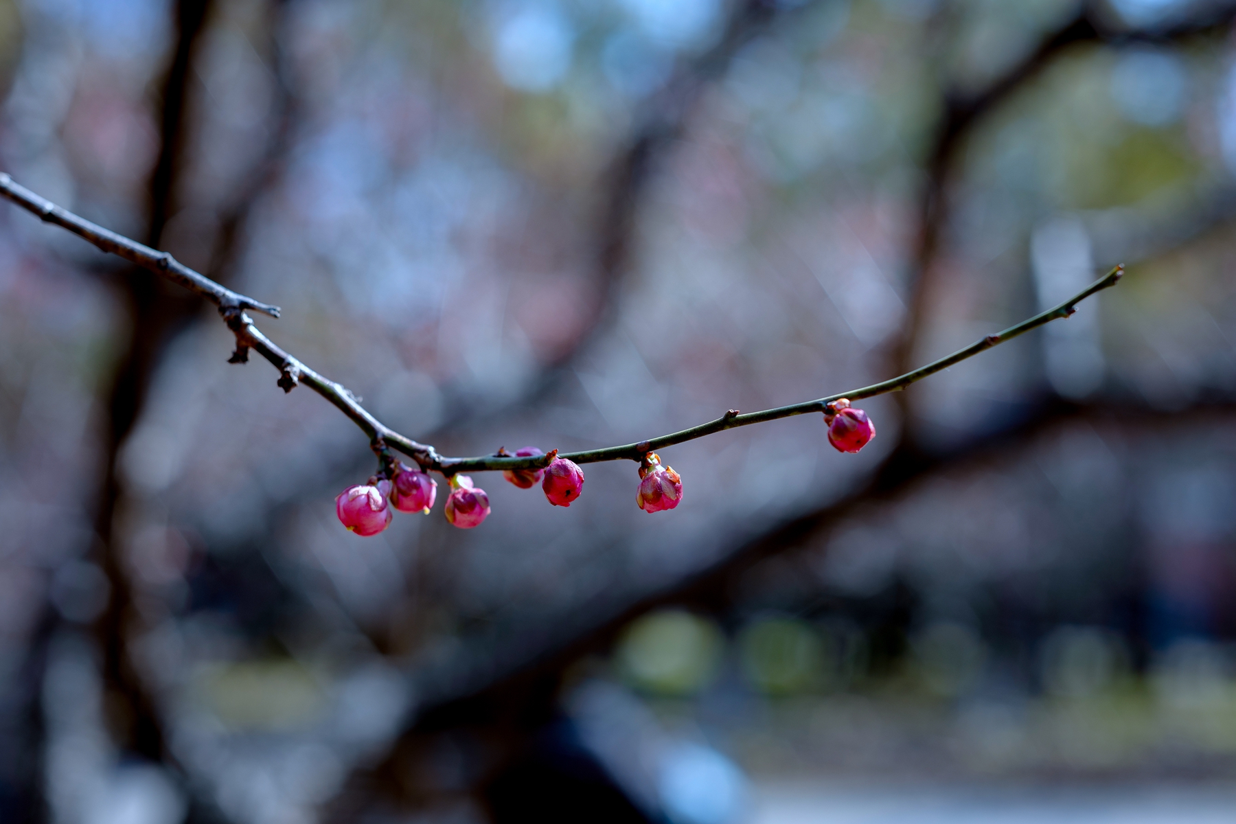 7H1A9349.jpg