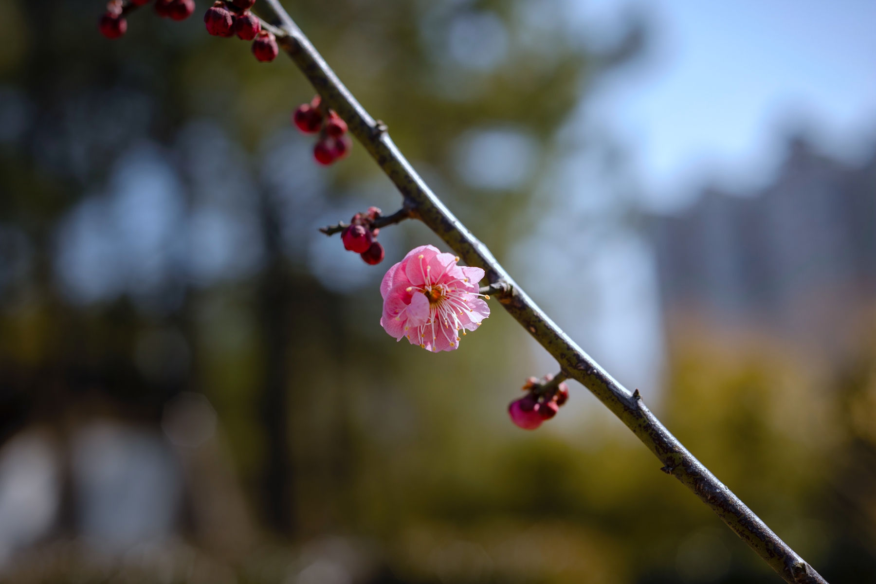7H1A9359.jpg