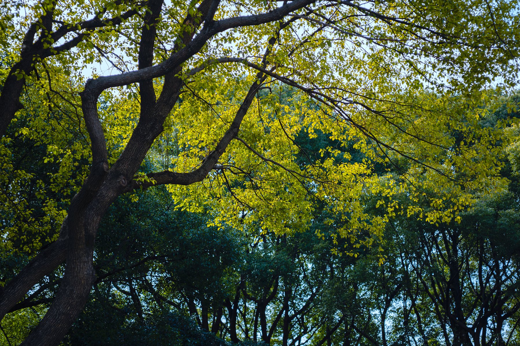 7H1A0059.jpg