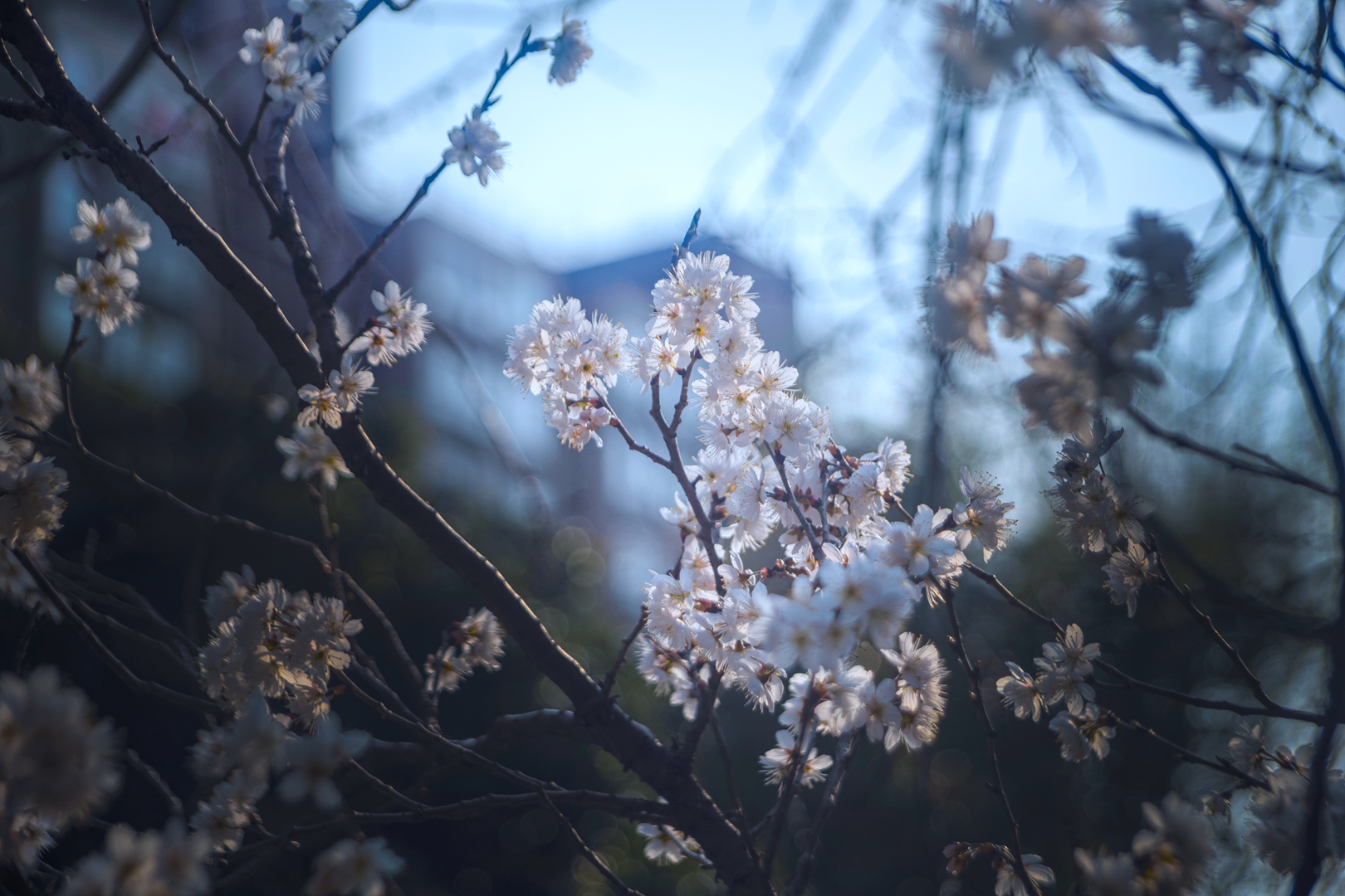 7H1A9790.jpg