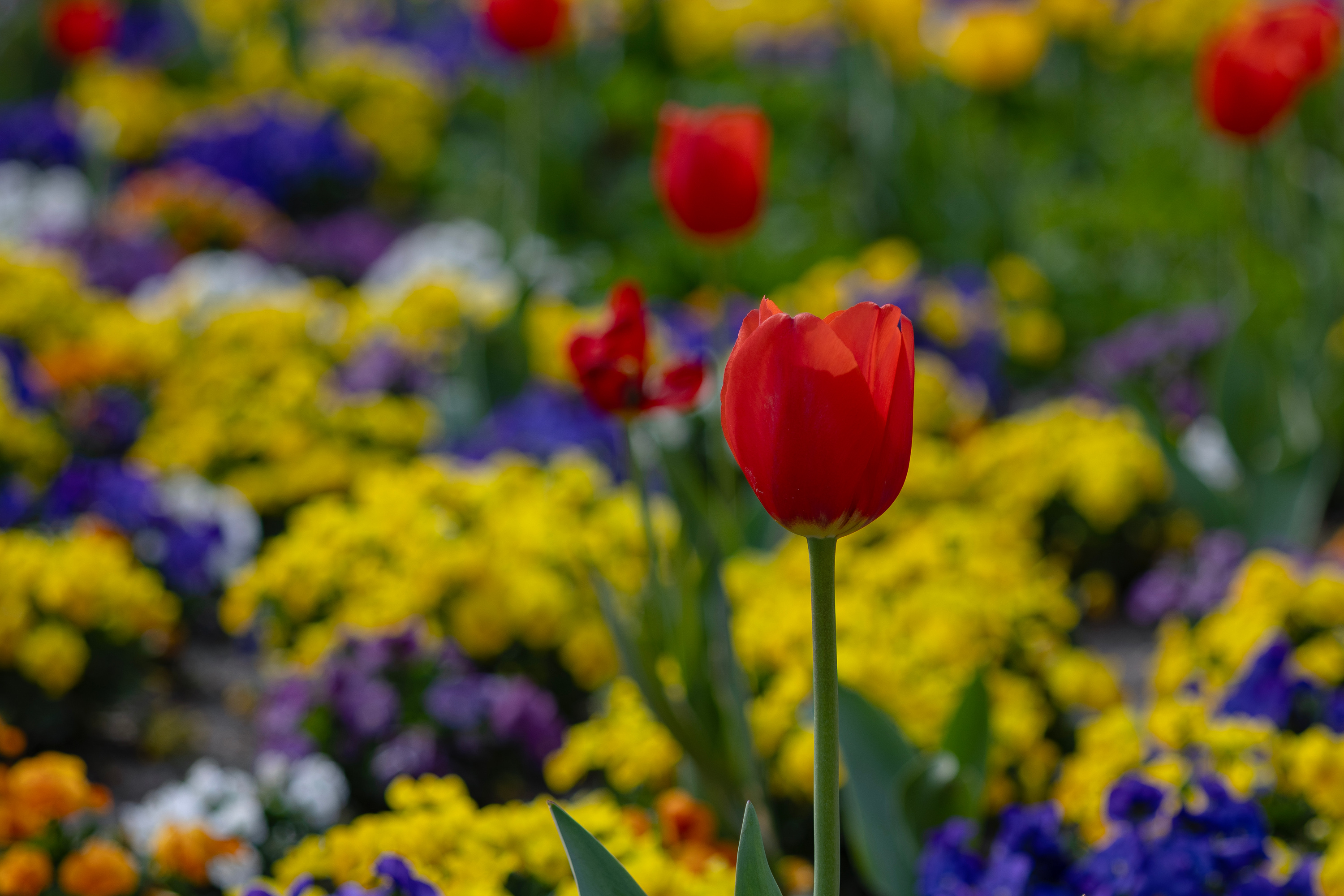 7H1A9961.jpg