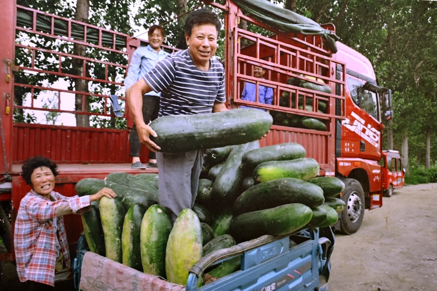 大逗瓜_副本.jpg