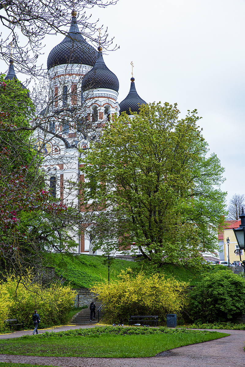 IMG_6325.jpg