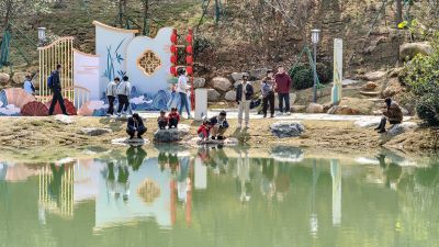 春光正好