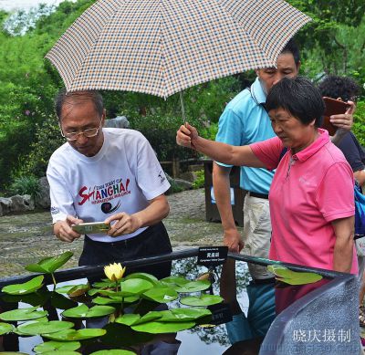 夫唱妇随