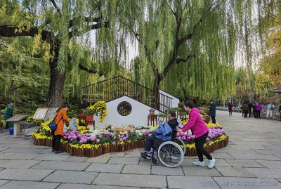 最美赏花人