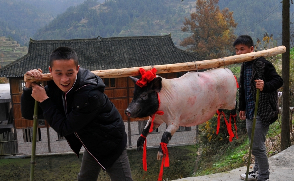 苗寨风俗