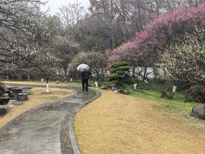 曲径通幽