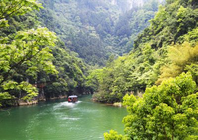 山野迷踪