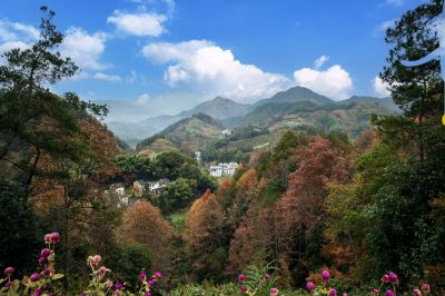 坡上村风光