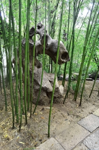 见证