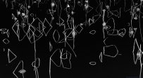 [原创]【残荷音符】