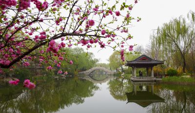明湖春早