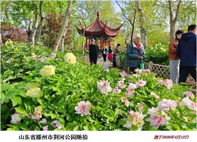 逛公园——15
