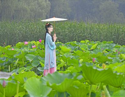 何仙姑下凡