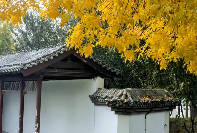 秋景