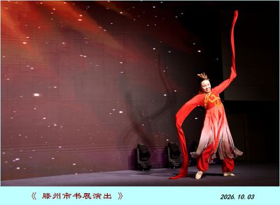 展示书城演出——4