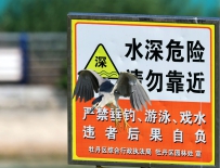 画中飞
