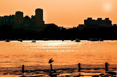 《夕阳璀璨大明湖》