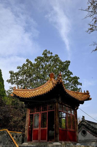 淌豆寺7