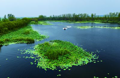 《赏荷游》