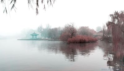 《大明湖》