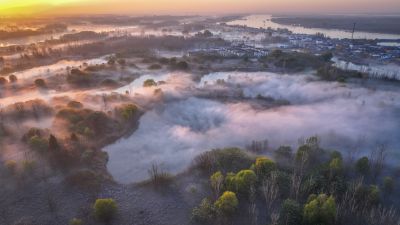 梦幻湿地4