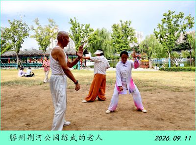 公园随拍——1