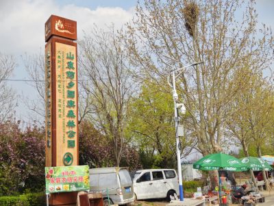 历城高而街道药乡森林公园