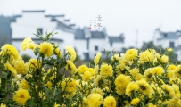 [原创]【今日立冬】