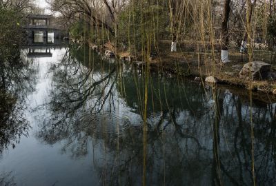 明湖冬韵