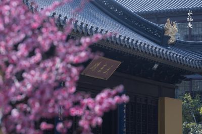 【禅意. 梅花】/永福庵