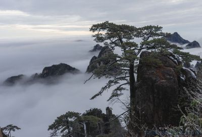 人间仙境黄山