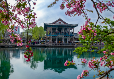 1. 泉畔春樱