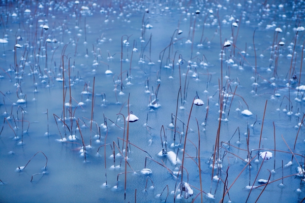 《雪韵》