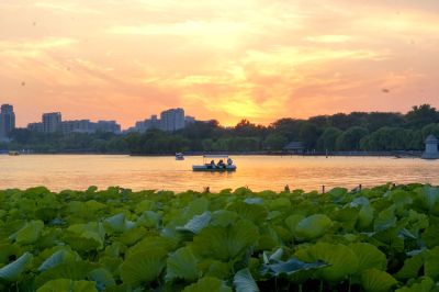 明湖夕阳美