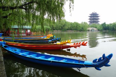 济南新八景作品投稿：明湖夏泊