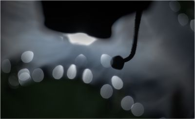 荷-6