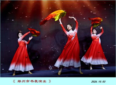 书展演出纪实——1