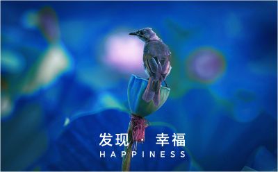 发现