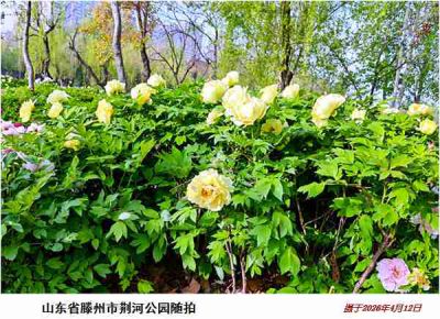 逛公园——10