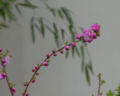 相映成趣