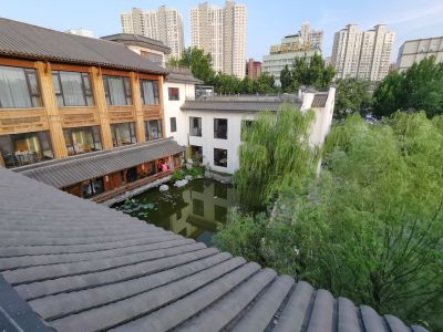 草坪绿地