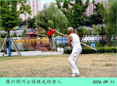 公园随拍——2